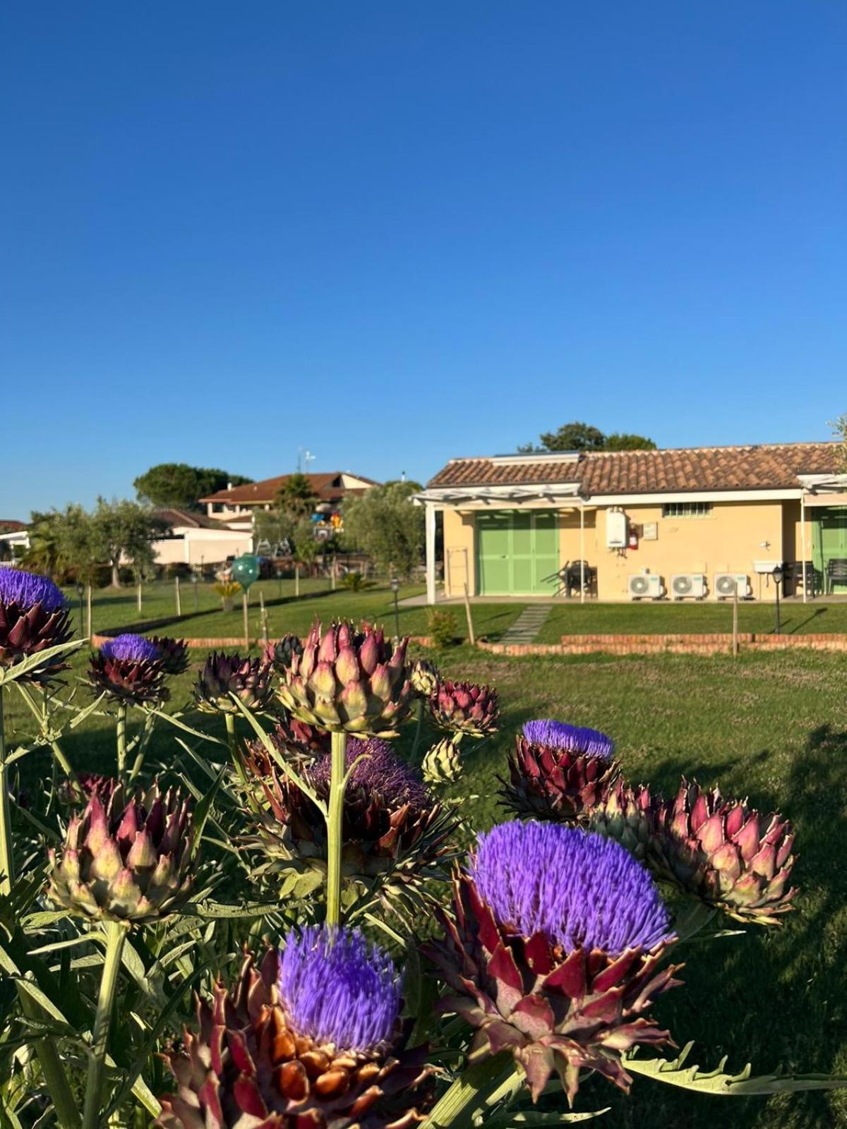 Il Giardino Di Nunzia Villa Принчипина Тера Екстериор снимка